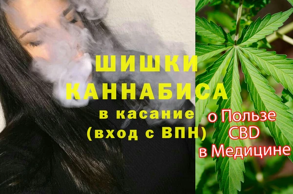 прущие грибы Киреевск