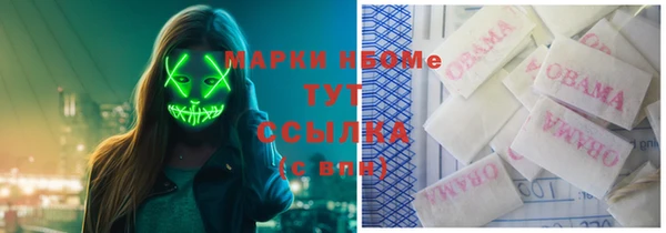 прущие грибы Киреевск