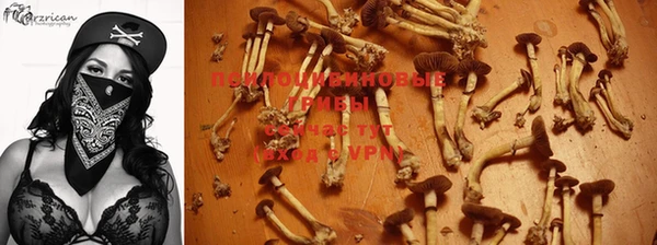 амф Кинешма