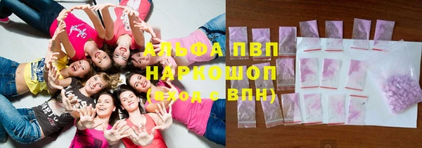прущие грибы Киреевск