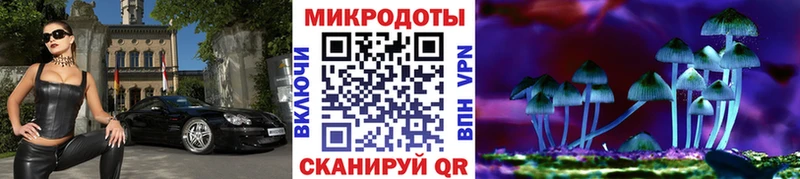 Купить  Ликино-Дулёво  Псилоцибиновые грибы MAGIC MUSHROOMS 